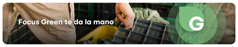 Gestión de residuos