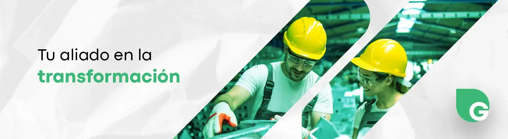 Focus Green tu aliado en la transformación