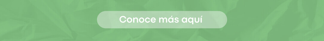 Cónoce más sobre Focus Green