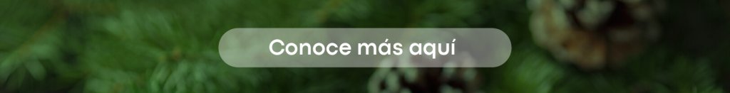 Conoce más aquí: Focus Green