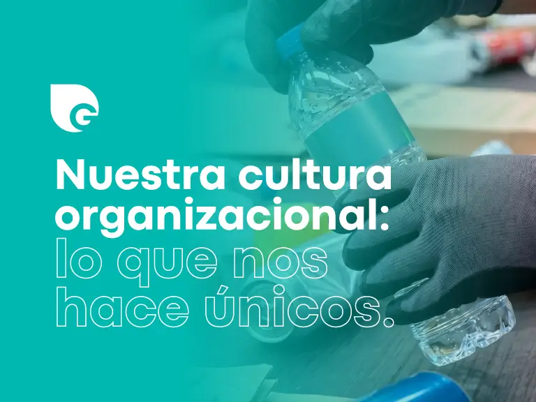 Nuestra cultura organizacional: lo que nos hace únicos